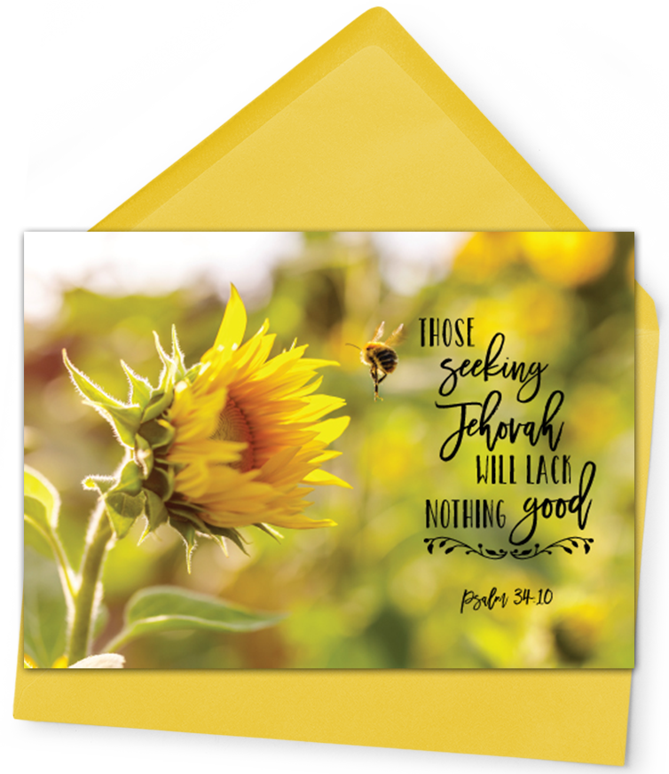 Those Seeking Jehovah