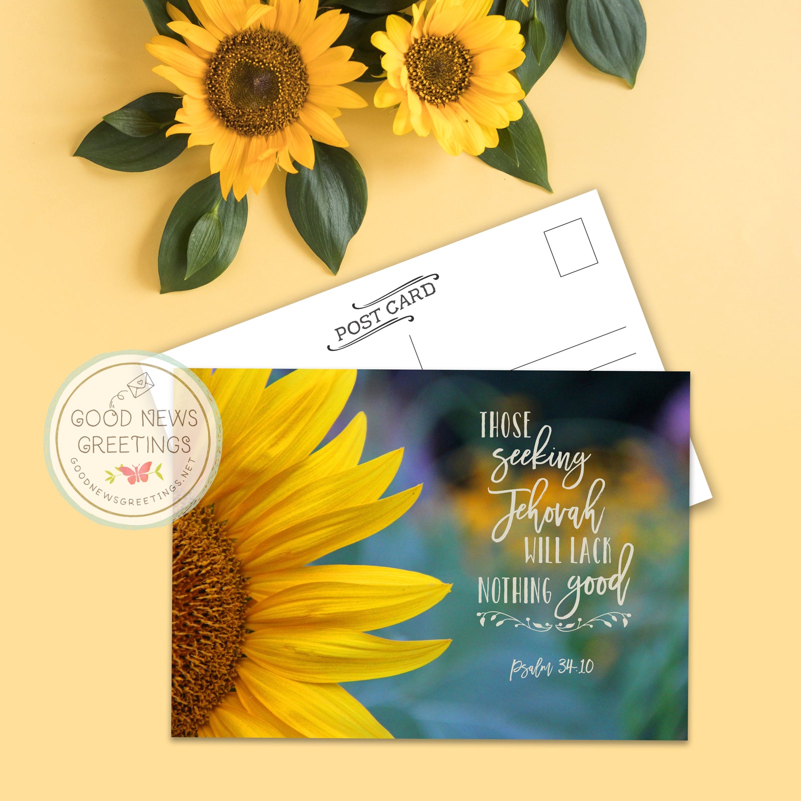 Postcard Package - Sunflower Seeking - Set of 9