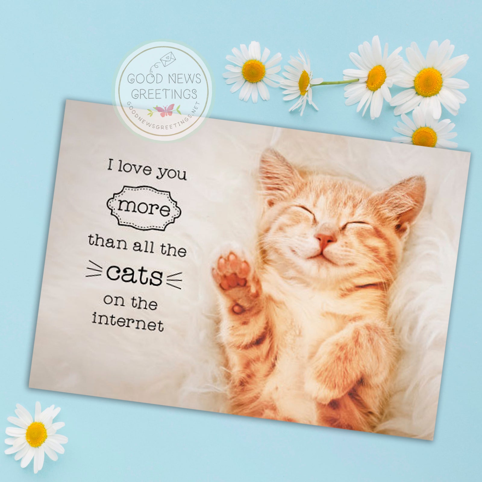 Love You More Than Cats