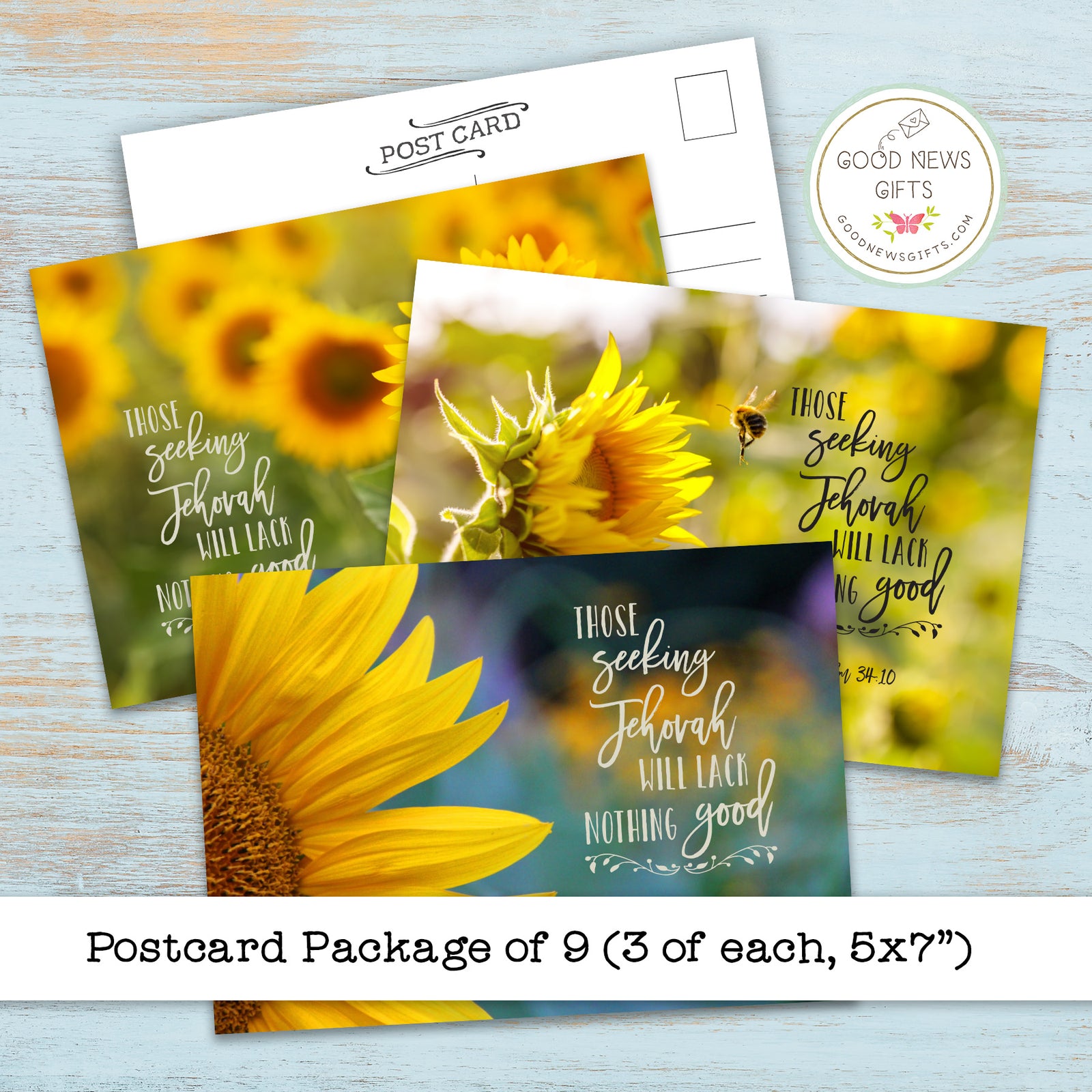 Postcard Package - Sunflower Seeking - Set of 9