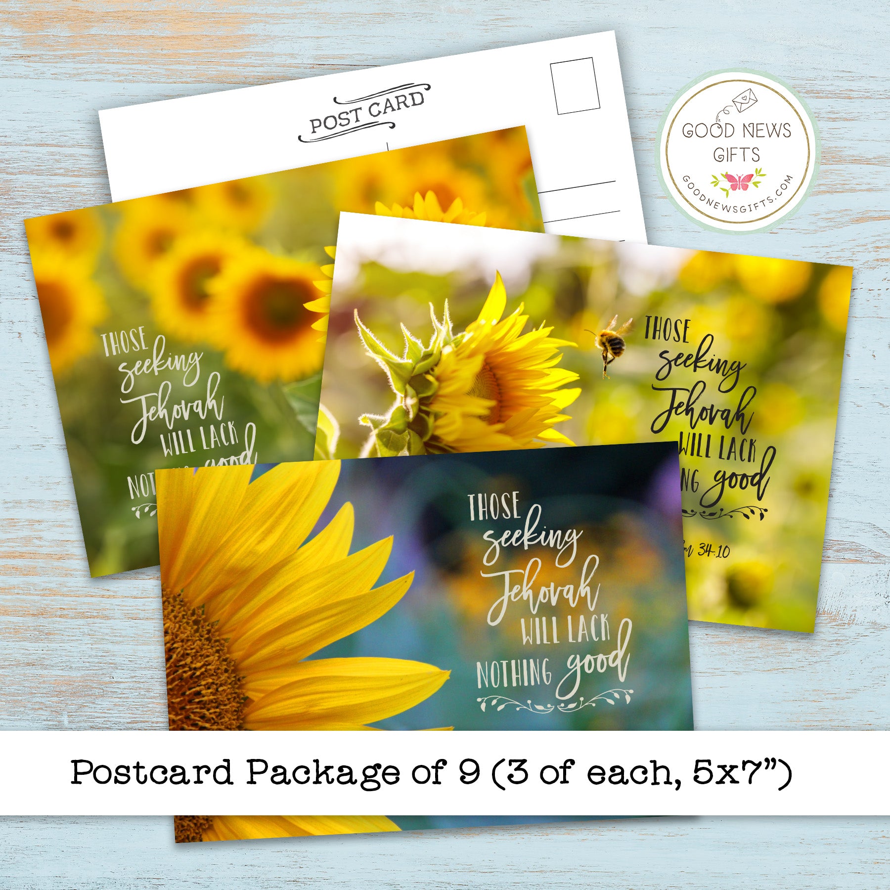 Postcard Package - Sunflower Seeking - Set of 9