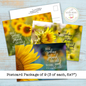 Postcard Package - Sunflower Seeking - Set of 9
