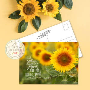 Postcard Package - Sunflower Seeking - Set of 9
