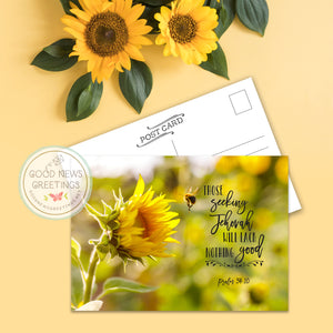 Postcard Package - Sunflower Seeking - Set of 9