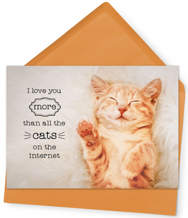 Love You More Than Cats